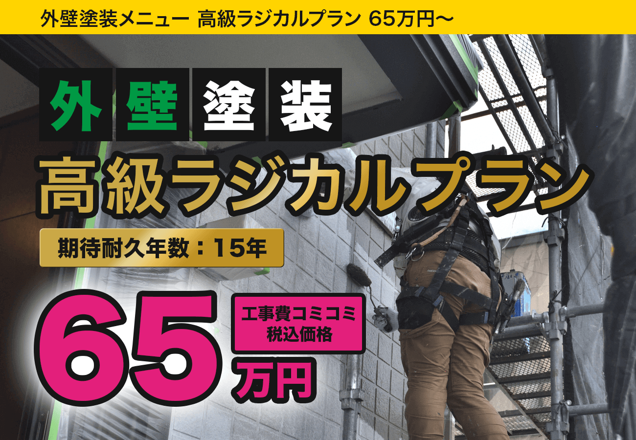 高級ラジカルプラン